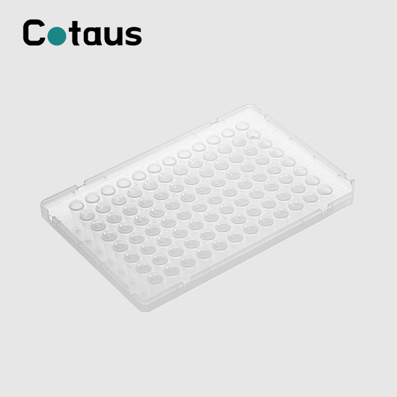 96 Daradara 0.1ml Half skirted ABI PCR Plate